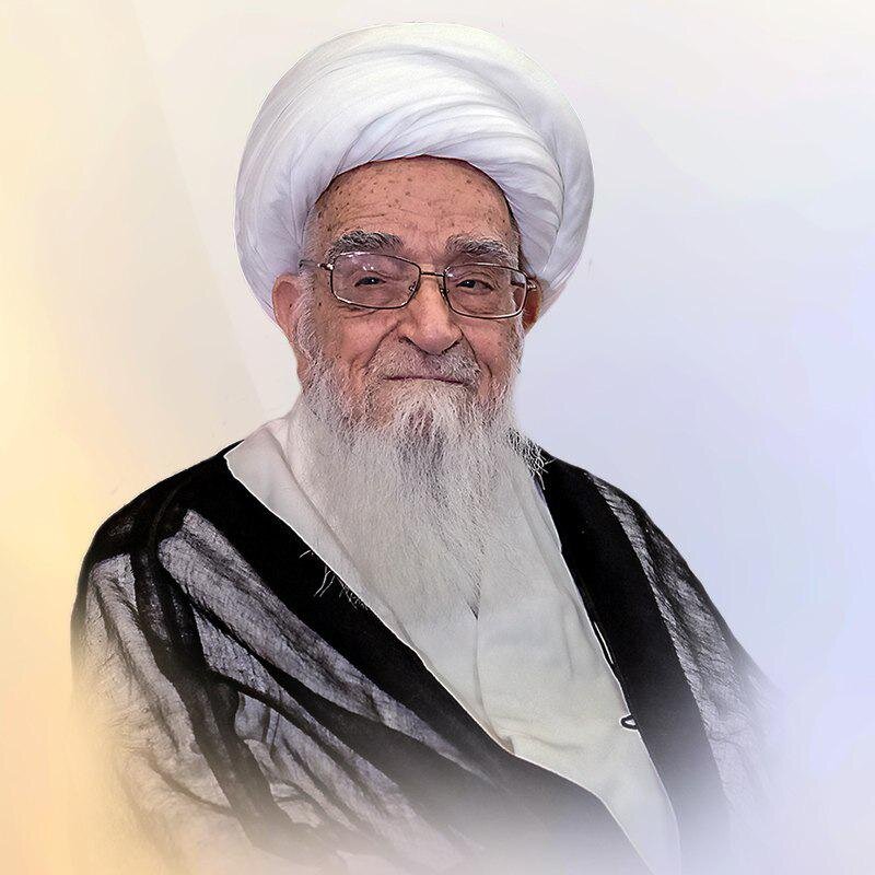 آیت الله العظمی صافی گلپایگانی: فقدان علامه عاملی برای مراکز علمی و دینی خسارت است