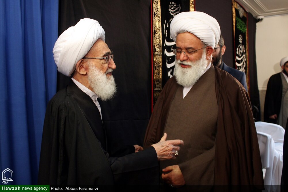 تصاویر/ دیدار اساتید و طلاب حوزه علمیه امام رضا(ع) تهران با آیت الله العظمی نوری همدانی